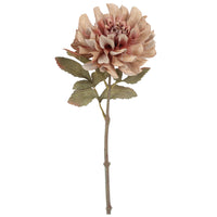 Barbara Dahlia Sand H57cm