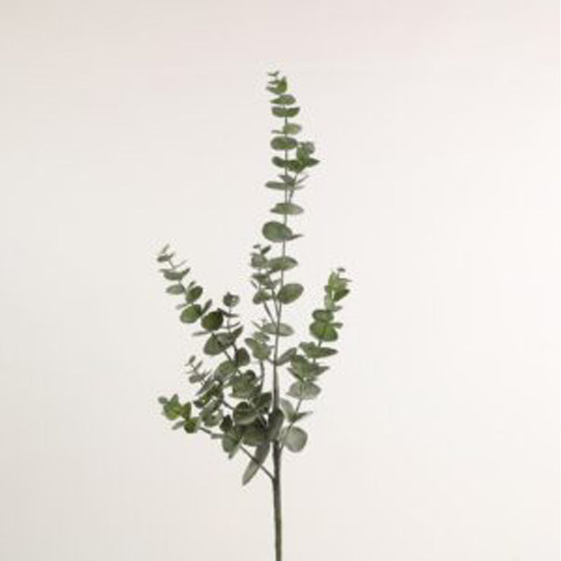 Barbara Eucalyptus Gren Natur H75cm