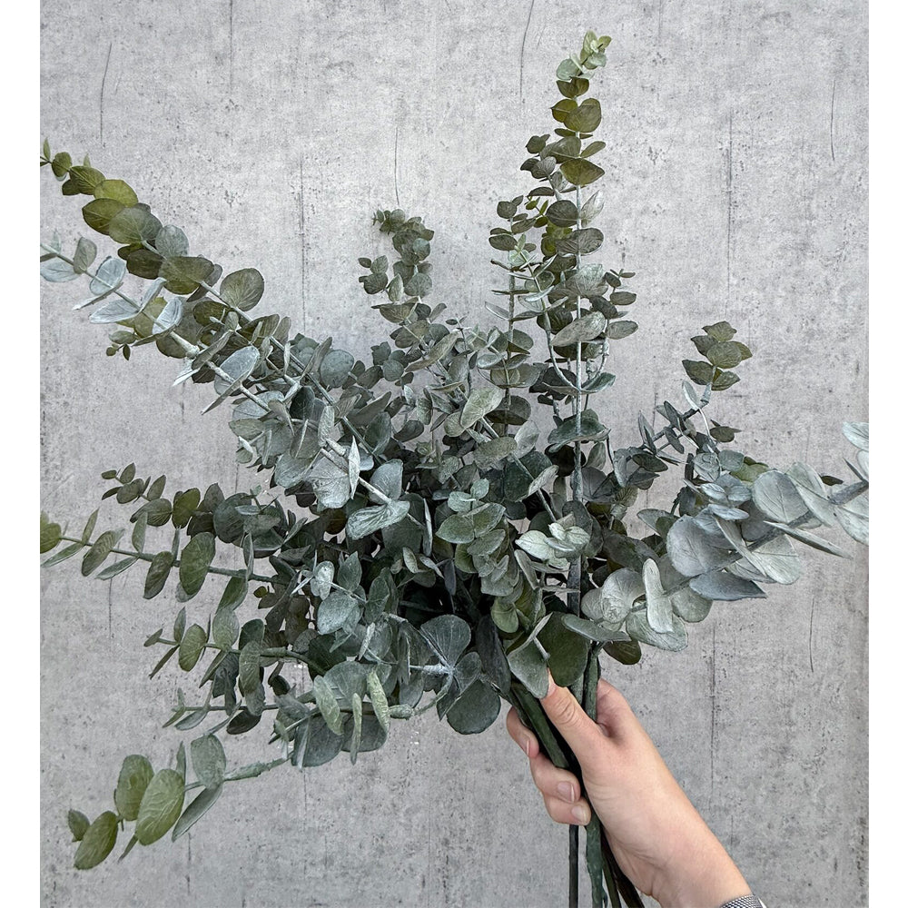 Barbara Eucalyptus Gren Natur H75cm