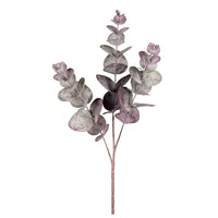 Barbara Eucalyptus Aubergine H50cm
