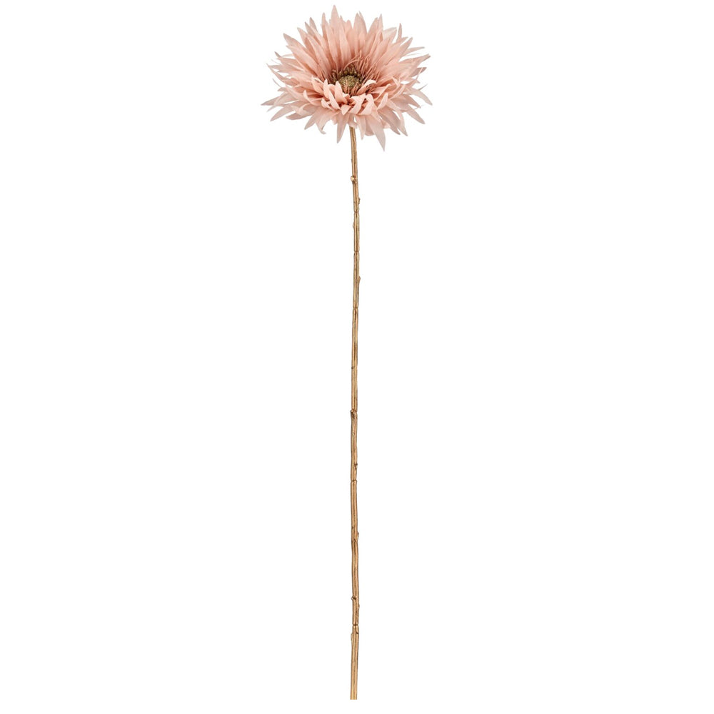Barbara Gerbera Rosa m/Guld H63cm