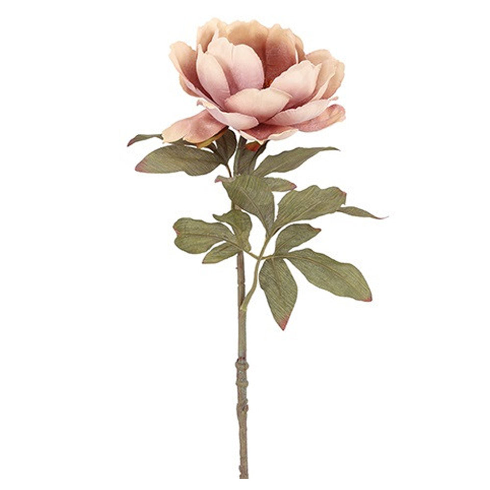 Barbara Peony Lys Rosa H56cm