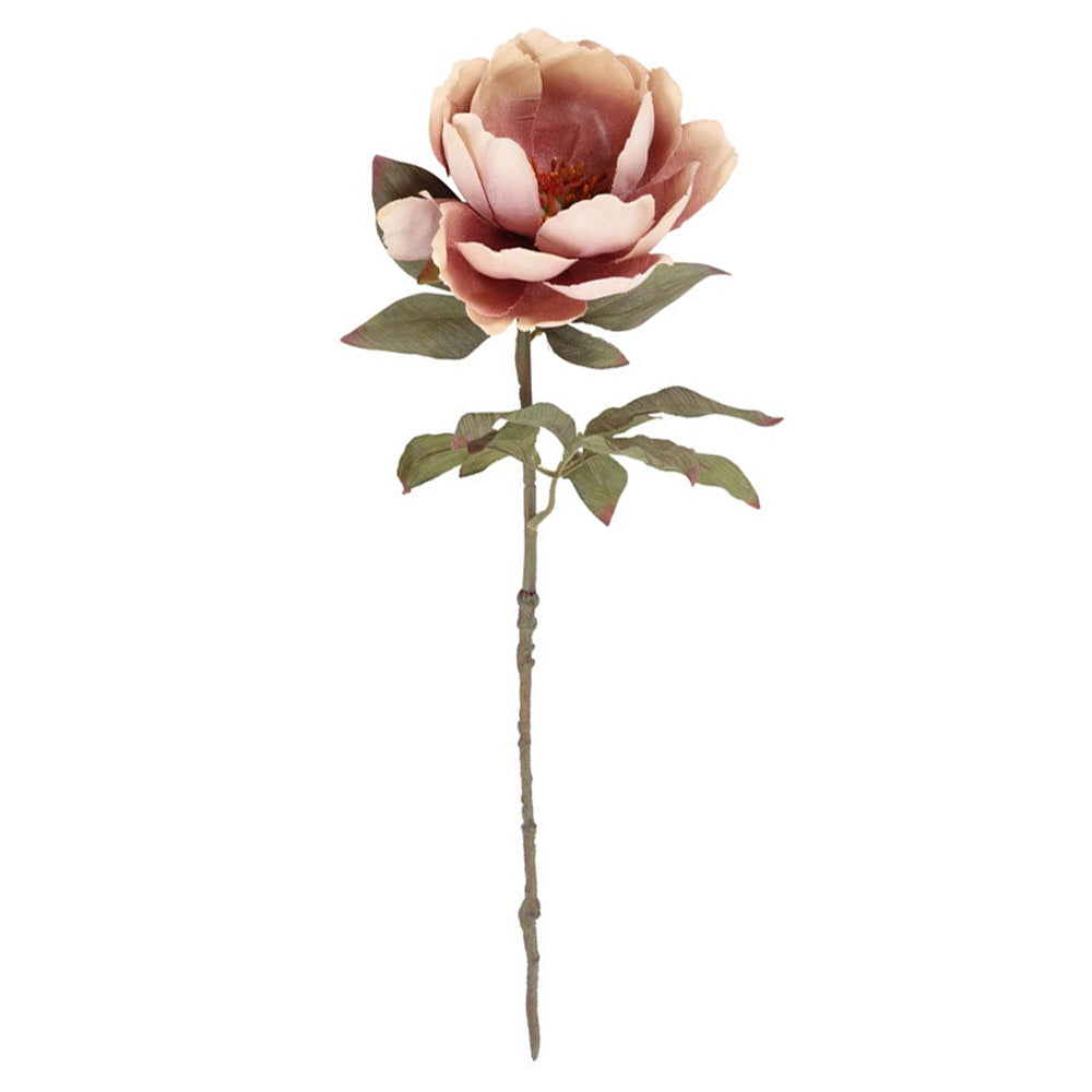 Barbara Peony Lys Rosa H56cm