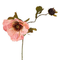Barbara Valmue Rosa H85cm