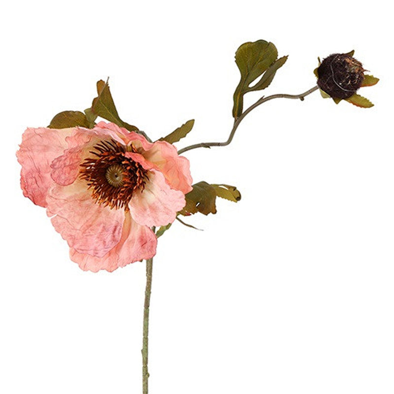Barbara Valmue Rosa H85cm