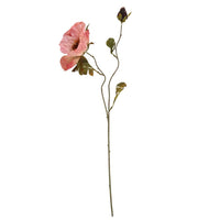 Barbara Valmue Rosa H85cm