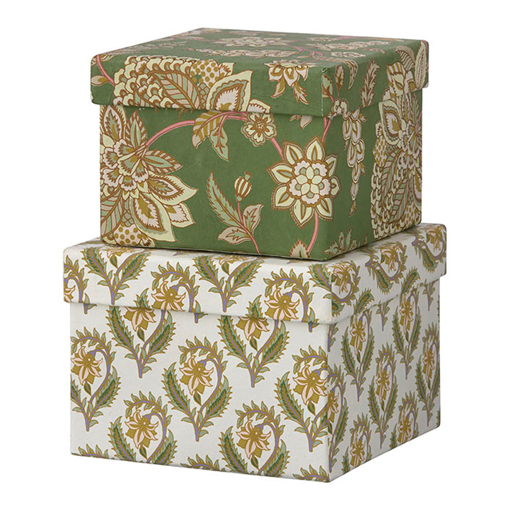 Bungalow Cubic Duo Box S Bindiya Moss