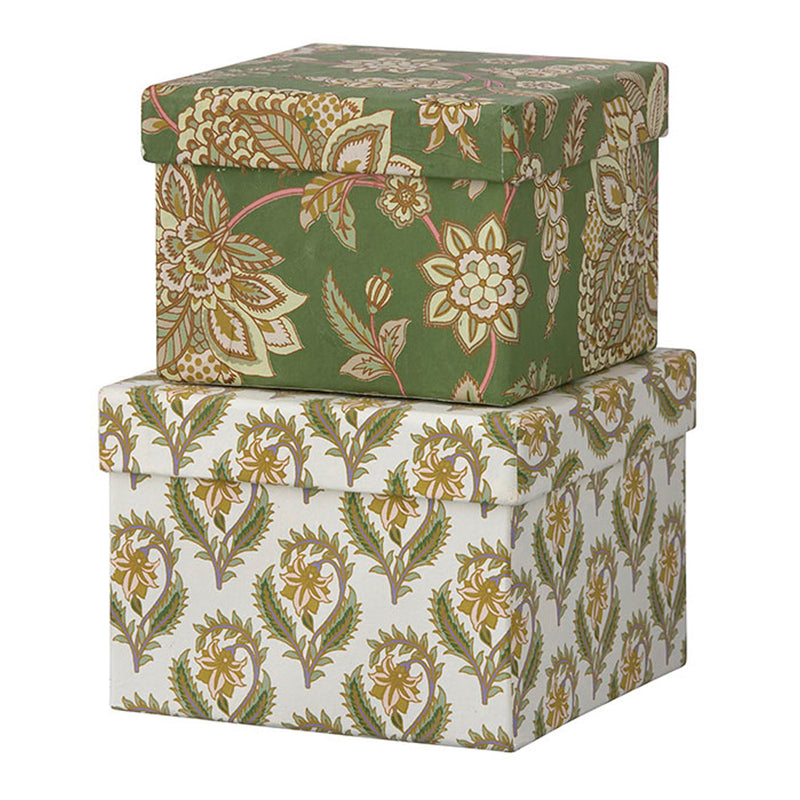 Bungalow Cubic Duo Box S Bindiya Moss