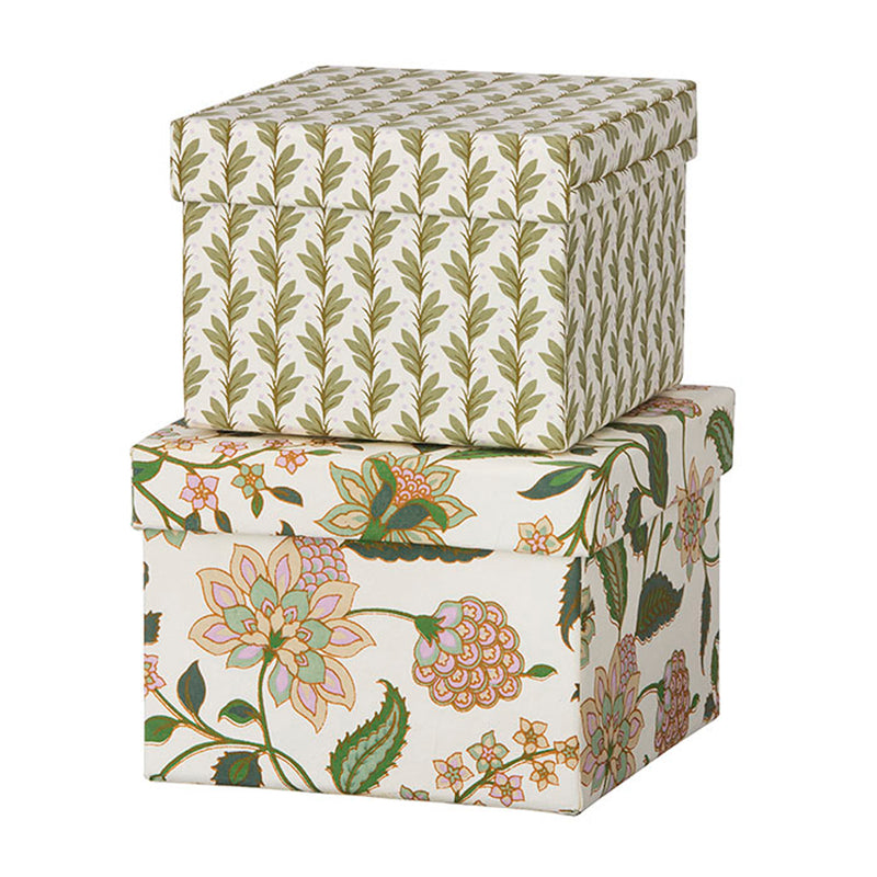 Bungalow Cubic Duo Box S Divya Parrot