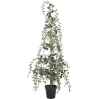 Chic Antique Fleur Grantræ med lys og timer H90cm Grøn