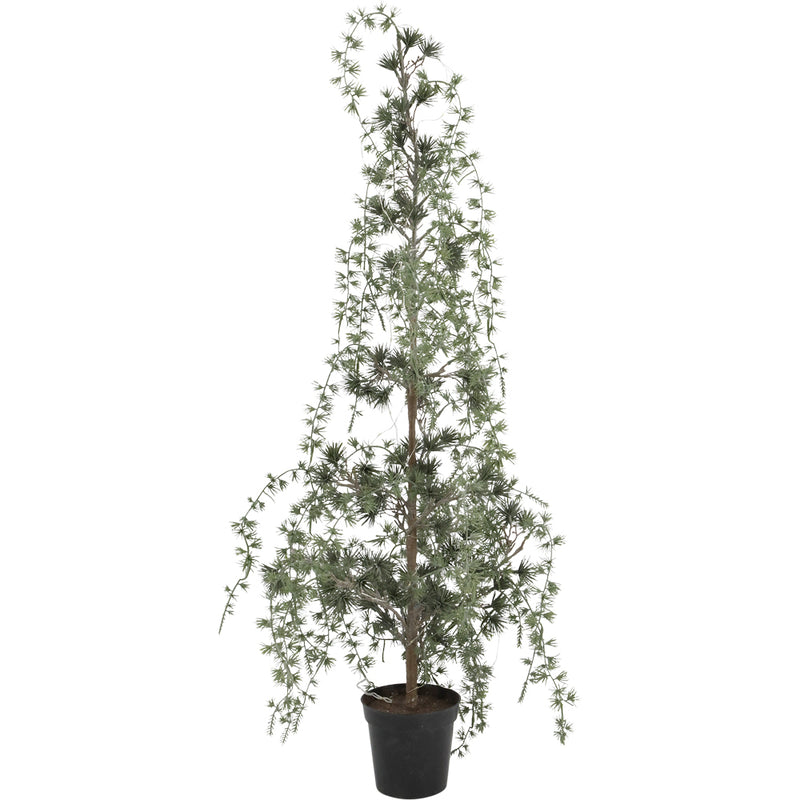Chic Antique Fleur Grantræ med lys og timer H90cm Grøn