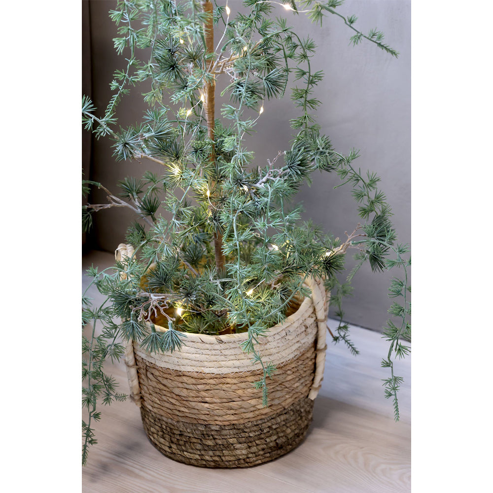 Chic Antique Fleur Grantræ med lys og timer H90cm Grøn