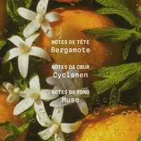 Panier Des Sens Body Cream Citrus Riviera 150ml