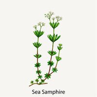 Panier Des Sens Håndcreme Sea Samphire med shea butter 30ml