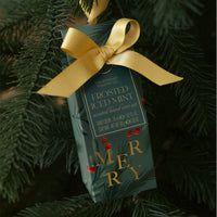 Somerset Håndplejesæt Merry Frosted Iced Mint