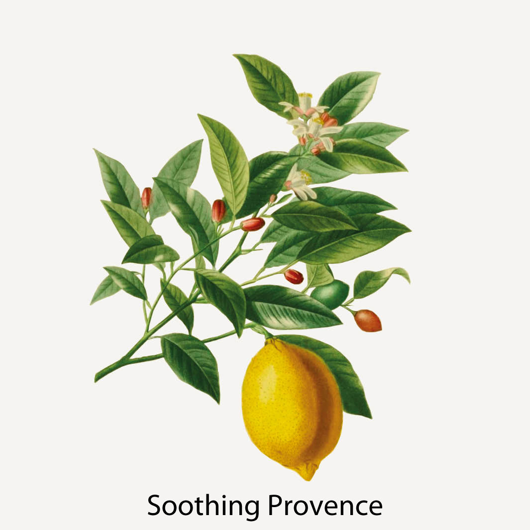 Panier Des Sens Essential Shower Gel Citrus Provence med Shea Butter 250ml