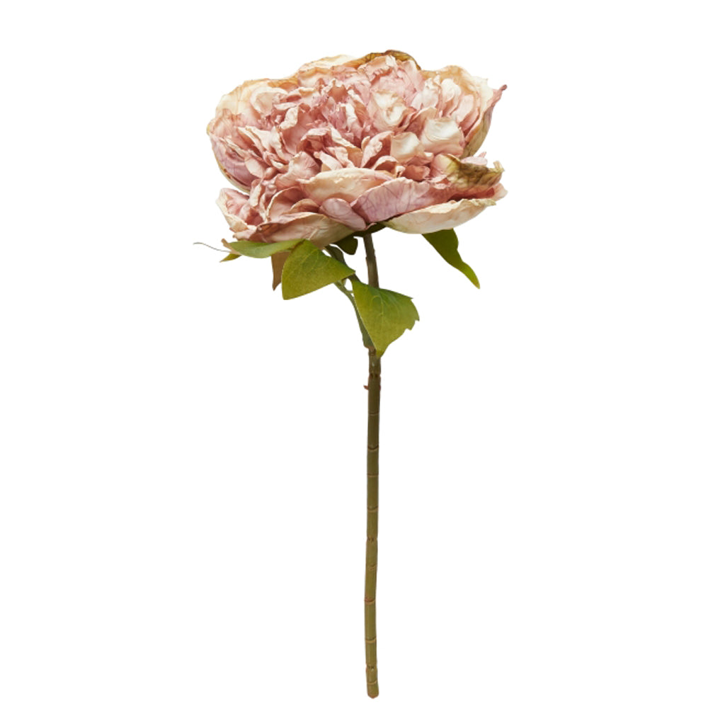 Speedtsberg Peon Stilk Plastik Rose 30cm