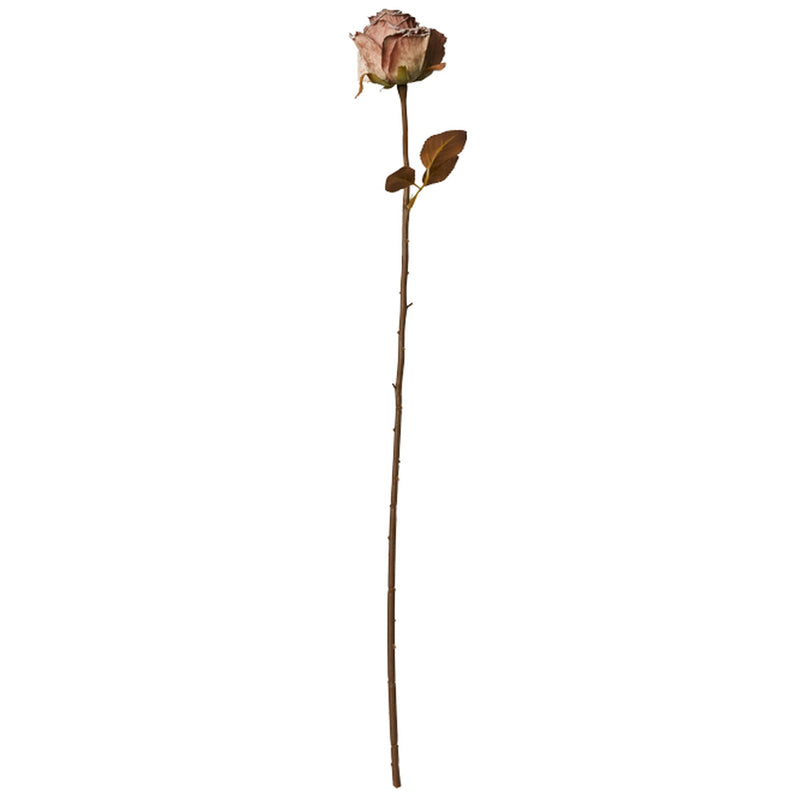 Speedtsberg Rose Stilk Plastik Light Rose 75cm