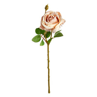 Speedtsberg Rose Stilk Plastik Dusty rose 65cm