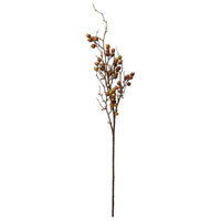 Speedtsberg Bærgren 91cm Naturfarvet Plastik