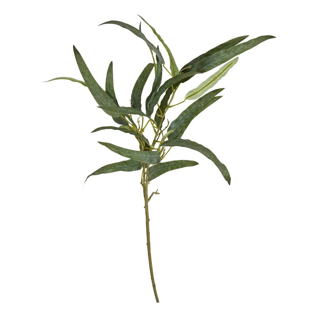 Speedtsberg Eukalyptus Stilk 85cm Grøn