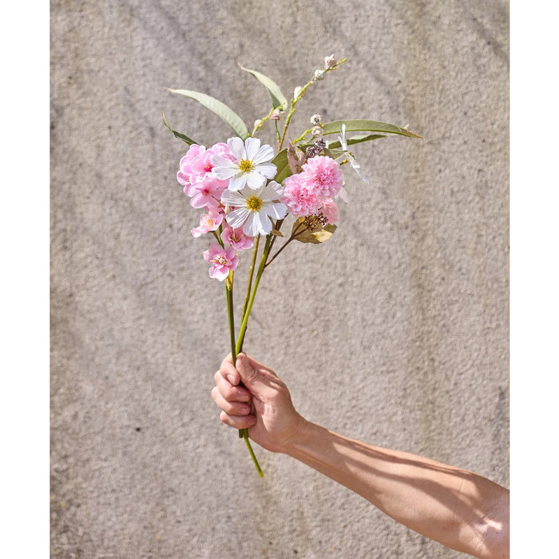 Speedtsberg Georgine Stilk 30cm Light Rose