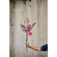 Speedtsberg Georgine Stilk 50cm Soft Pink