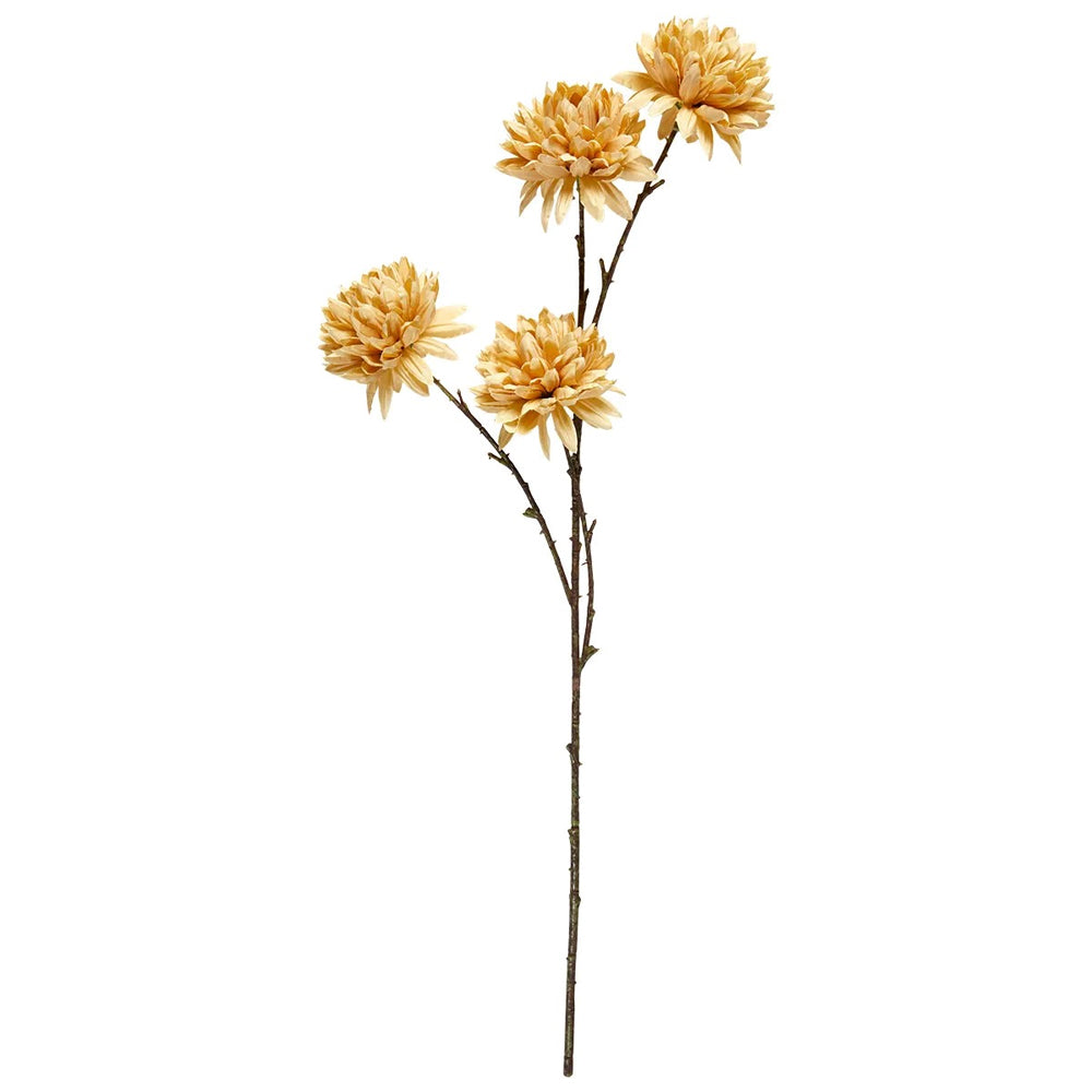 Speedtsberg Georgine Stilk 69cm Gul