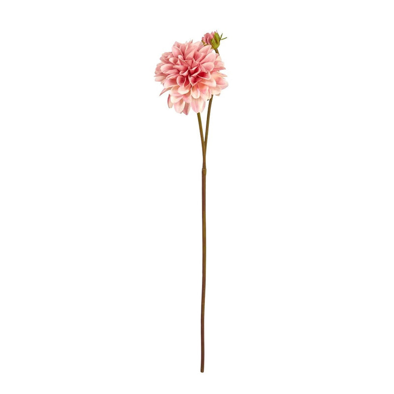 Speedtsberg Georgine Stilk 71cm Rose