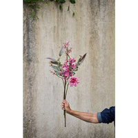 Speedtsberg Hortensia Gren 52cm Purple