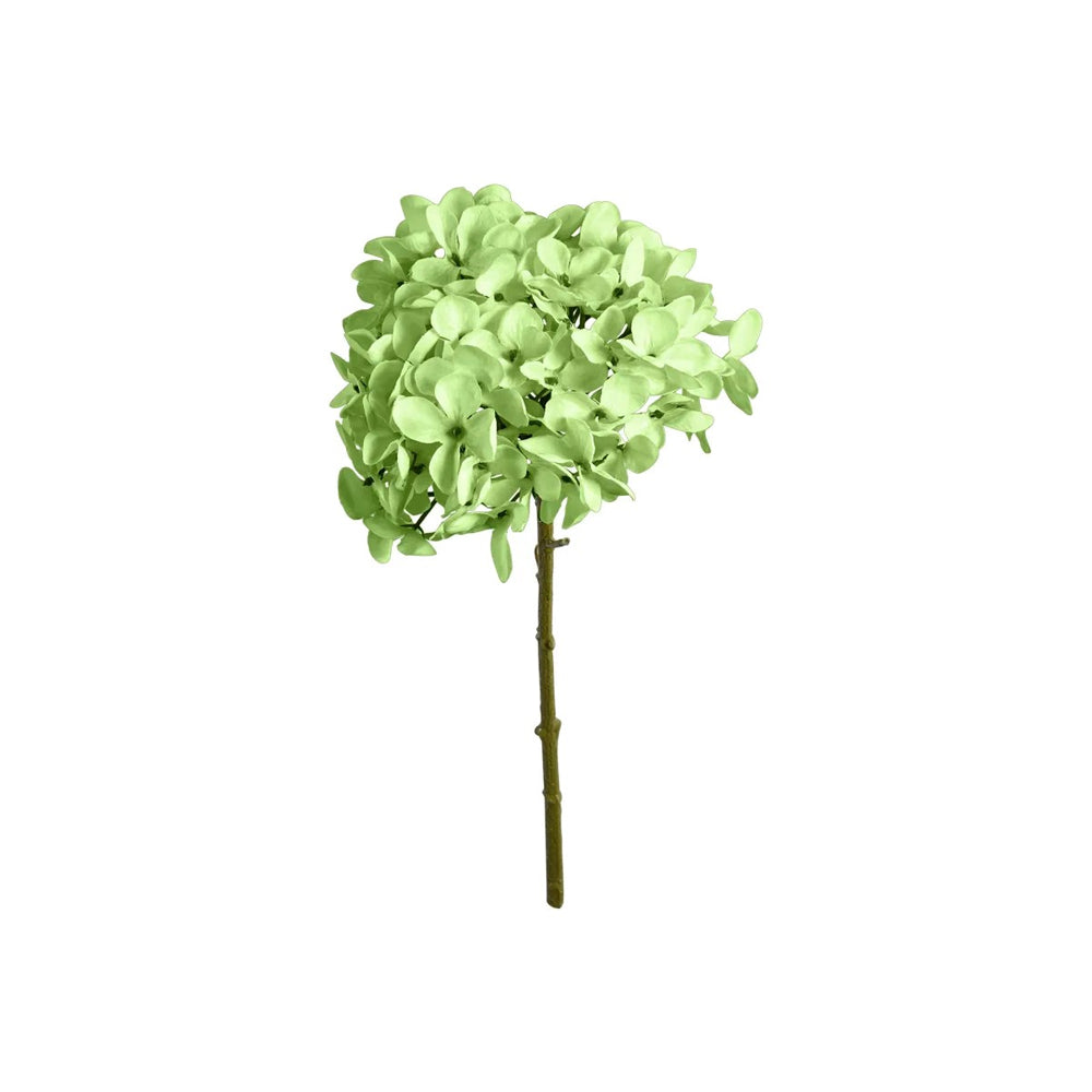 Speedtsberg Hortensia Stilk Grøn 34cm