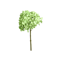 Speedtsberg Hortensia Stilk Grøn 34cm