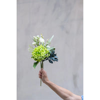 Speedtsberg Hortensia Stilk Grøn 34cm