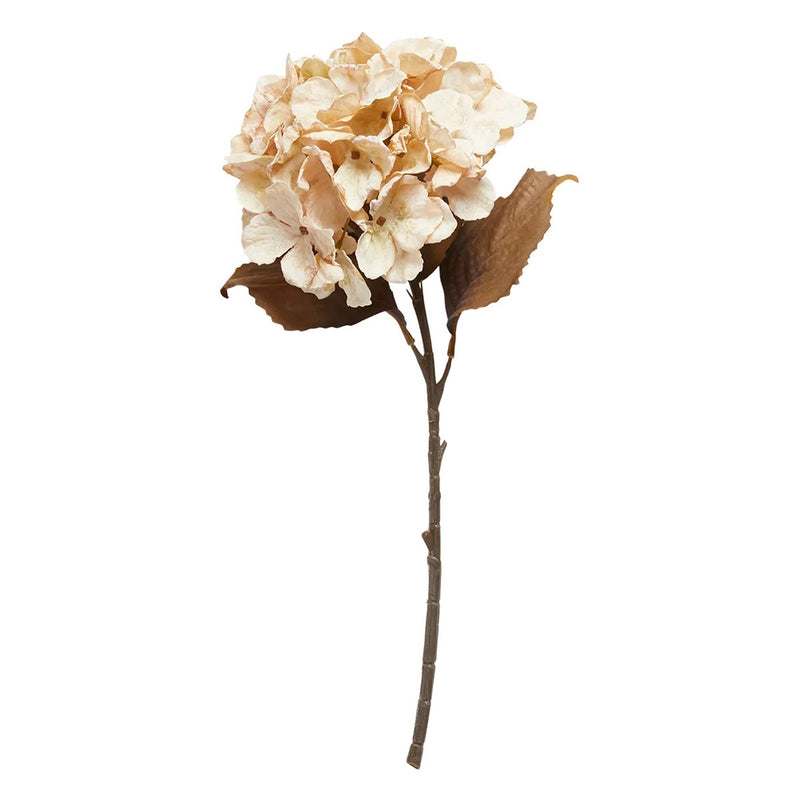Speedtsberg Hortensia Stilk Beige H48cm