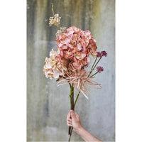 Speedtsberg Hortensia Stilk Beige H48cm