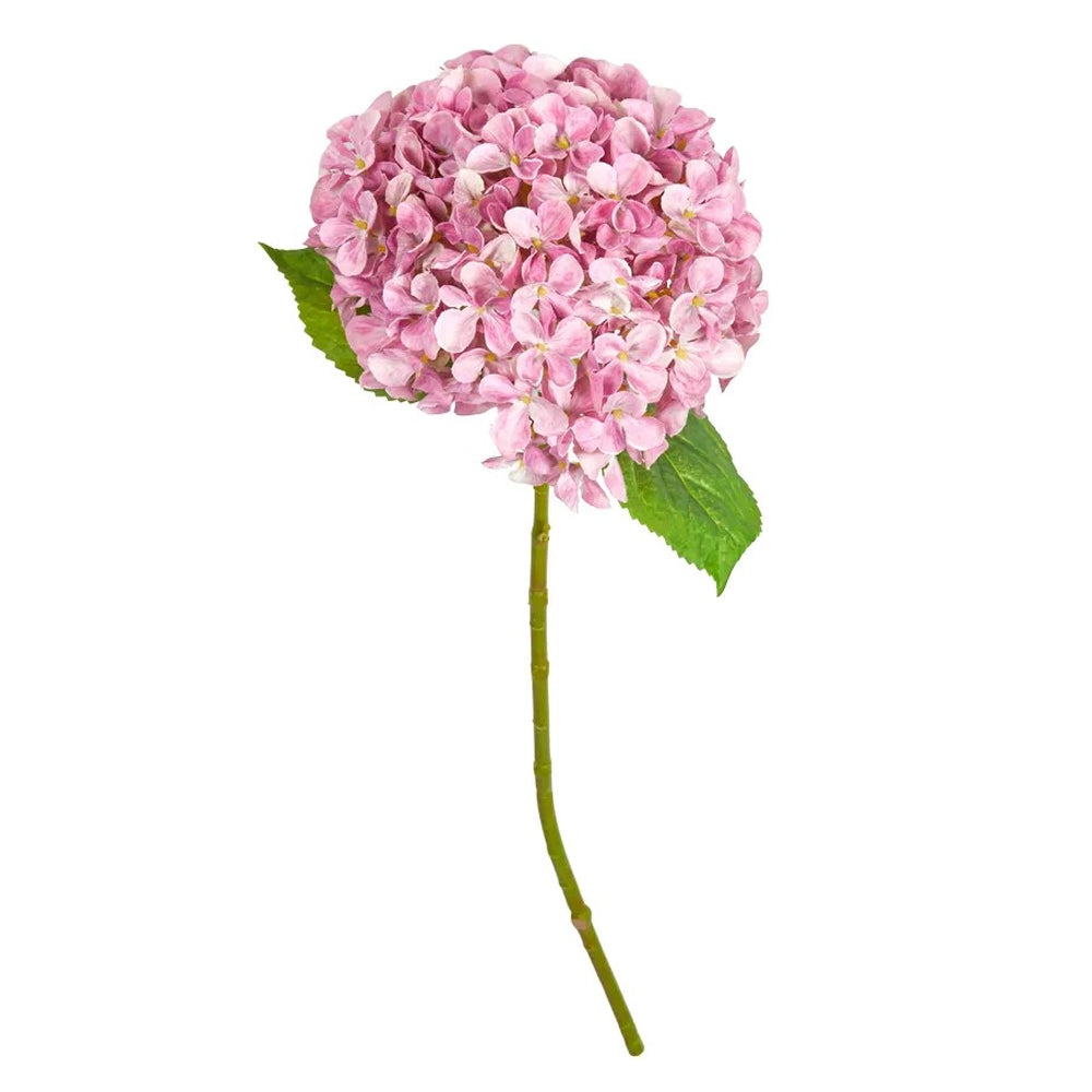 Speedtsberg Hortensia Stilk 66cm Rose Plastik