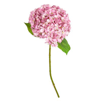 Speedtsberg Hortensia Stilk 66cm Rose Plastik