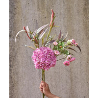 Speedtsberg Hortensia Stilk 66cm Rose Plastik