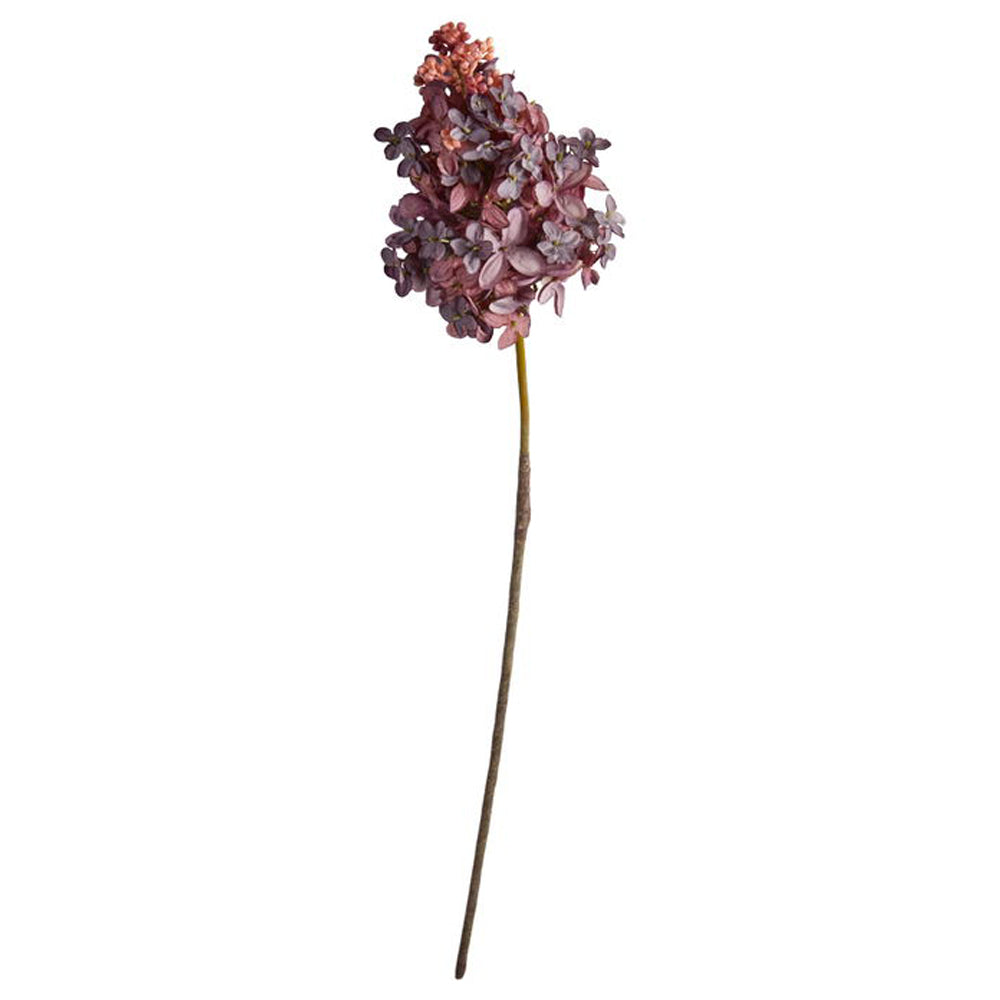 Speedtsberg Hortensia Stilk 76cm Purple Plastik