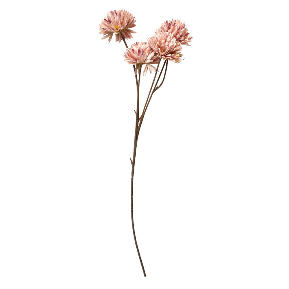 Speedtsberg Krysantemum Stilk 53cm Rose