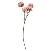 Speedtsberg Krysantemum Stilk 53cm Rose