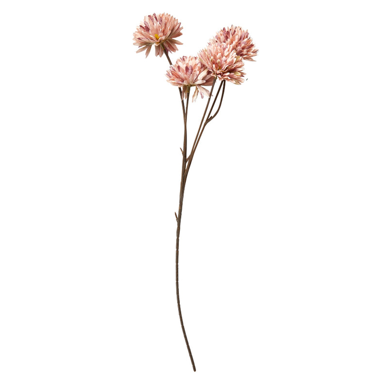 Speedtsberg Krysantemum Stilk 53cm Rose