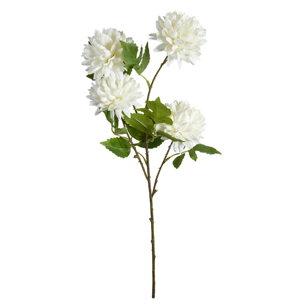 Speedtsberg Krysantemum Stilk 61cm Hvid