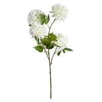 Speedtsberg Krysantemum Stilk 61cm Hvid