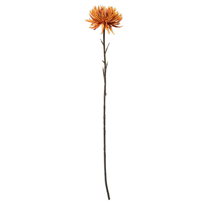Speedtsberg Krysantemum Stilk Burned 75cm Plastik