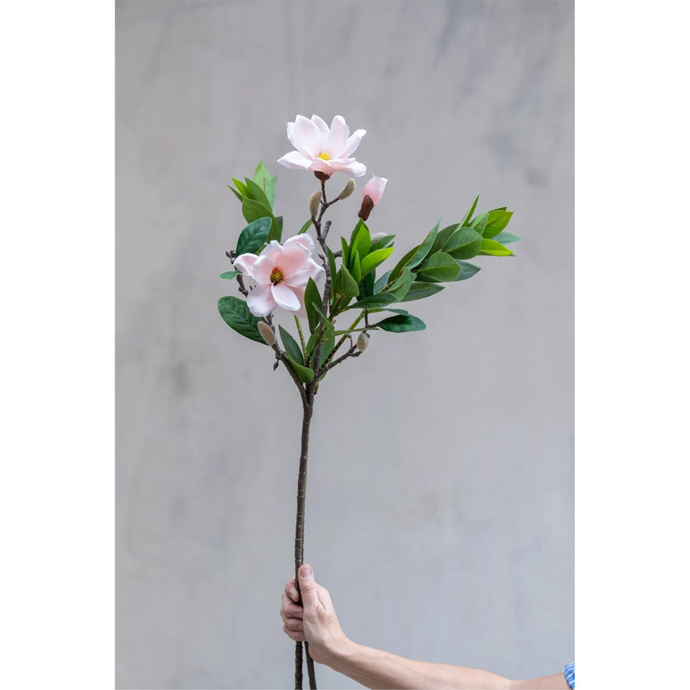 Speedtsberg Laurbær Stilk 82cm Grøn