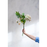 Speedtsberg Laurbær Stilk 82cm Grøn