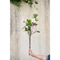 Speedtsberg Laurbær Stilk 82cm Grøn