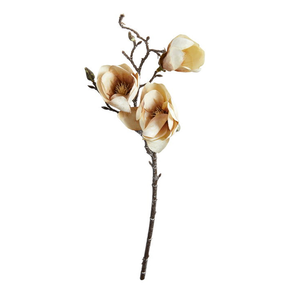 Speedtsberg Magnolia Stilk Dusty Rose 50cm Plastik