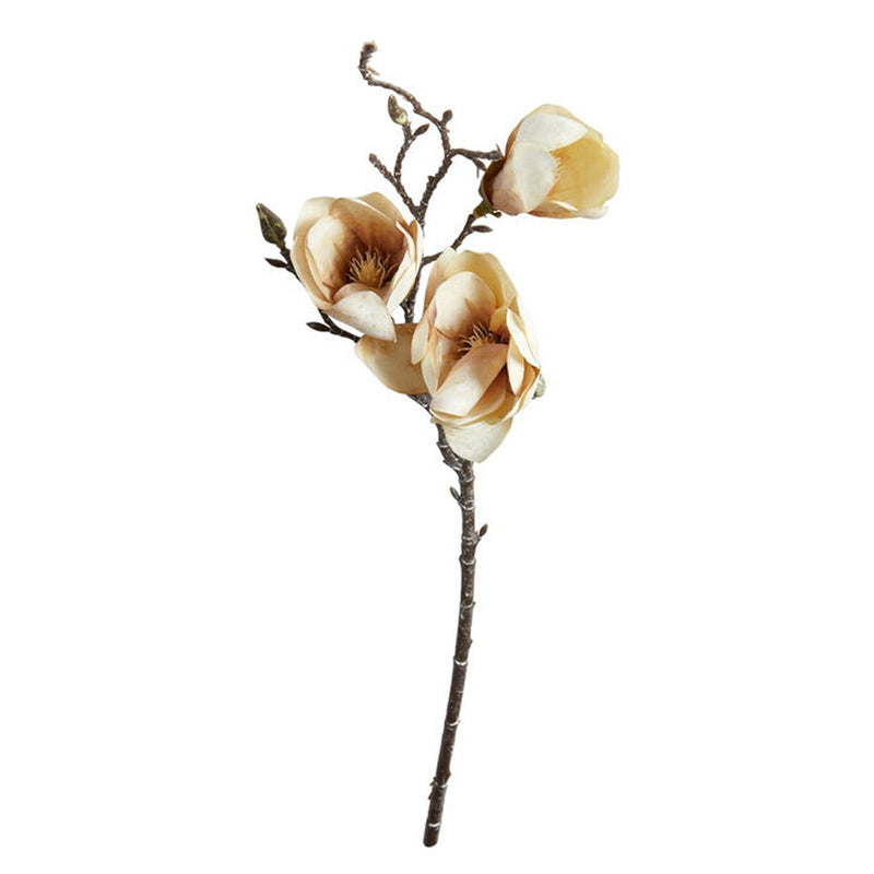 Speedtsberg Magnolia Stilk Dusty Rose 50cm Plastik